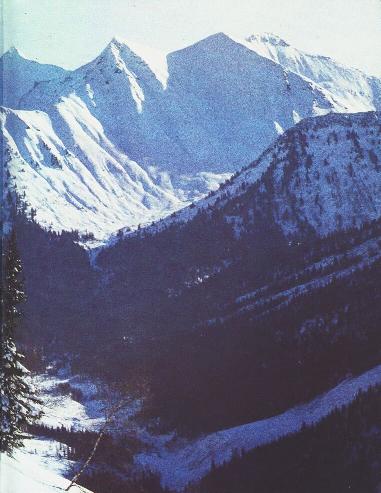 40_.jpg (34855 bytes)