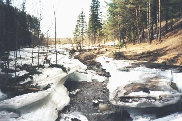 На ручье Мамаевка. В 150 м от дома. Фото Ирины Галкиной г. Бирюсинск